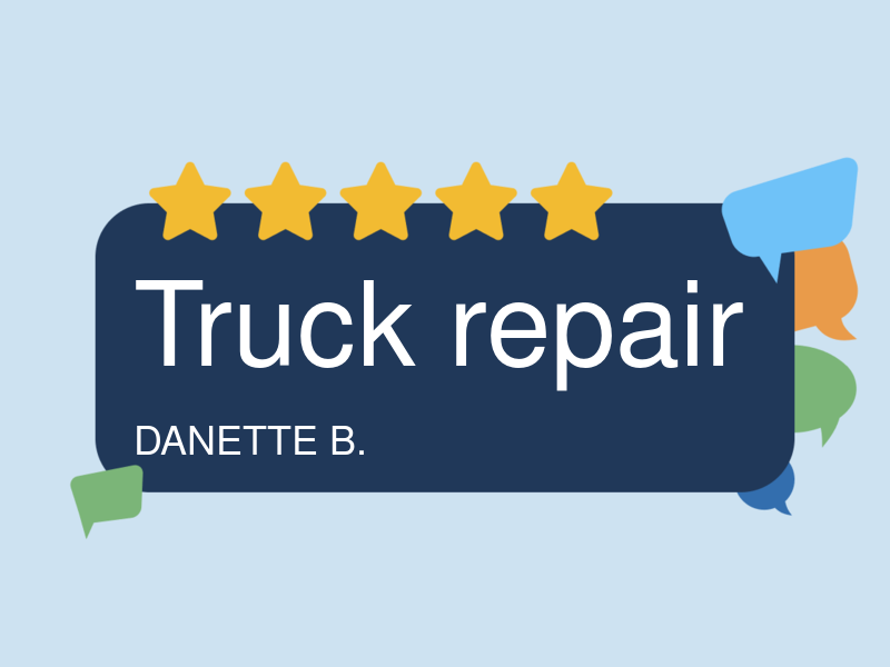Delhi Quality Auto Care logo