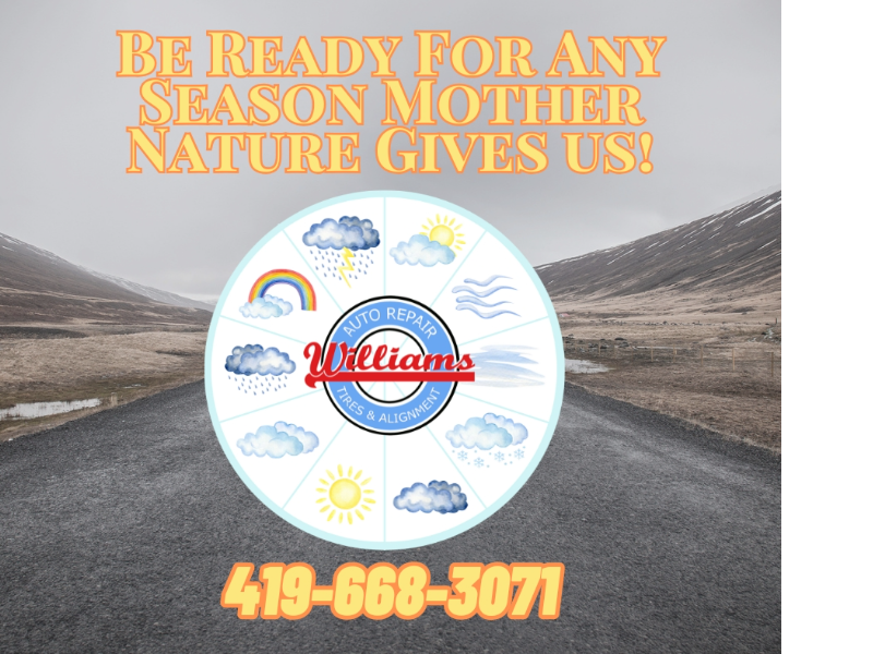 Williams Norwalk Tire & Alignment logo