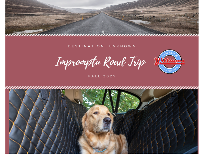 Williams Norwalk Tire & Alignment logo