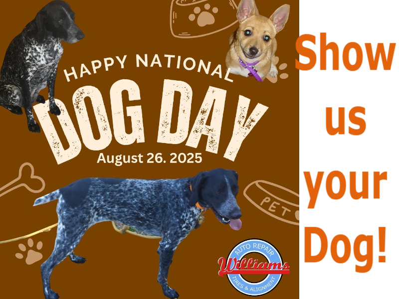 Williams Norwalk Tire & Alignment logo