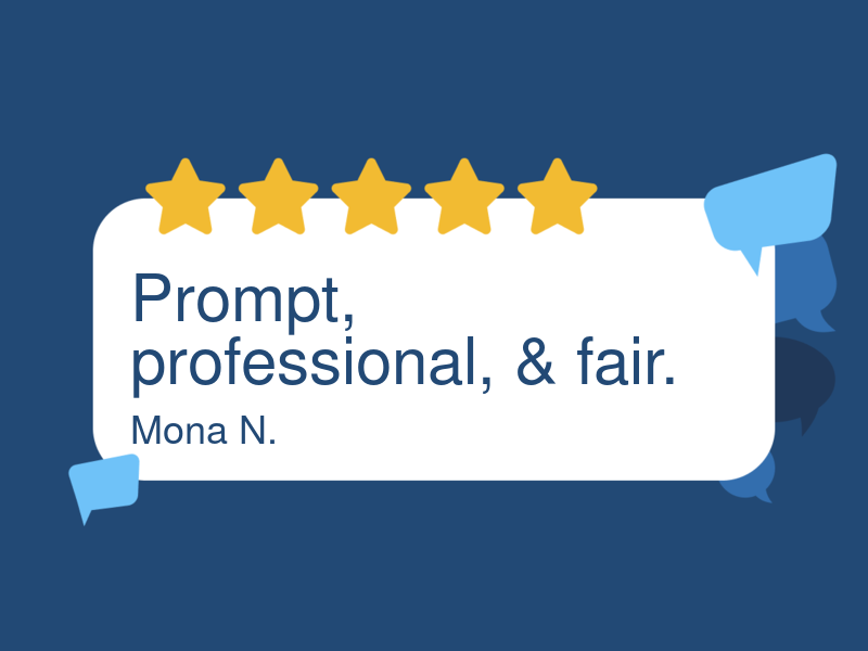 Little Man Auto Care logo