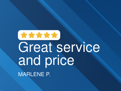 The German Car Garage  logo