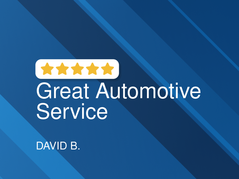 Steele & Bell Automotive logo