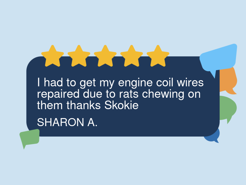 Main & Crawford Auto Repair logo