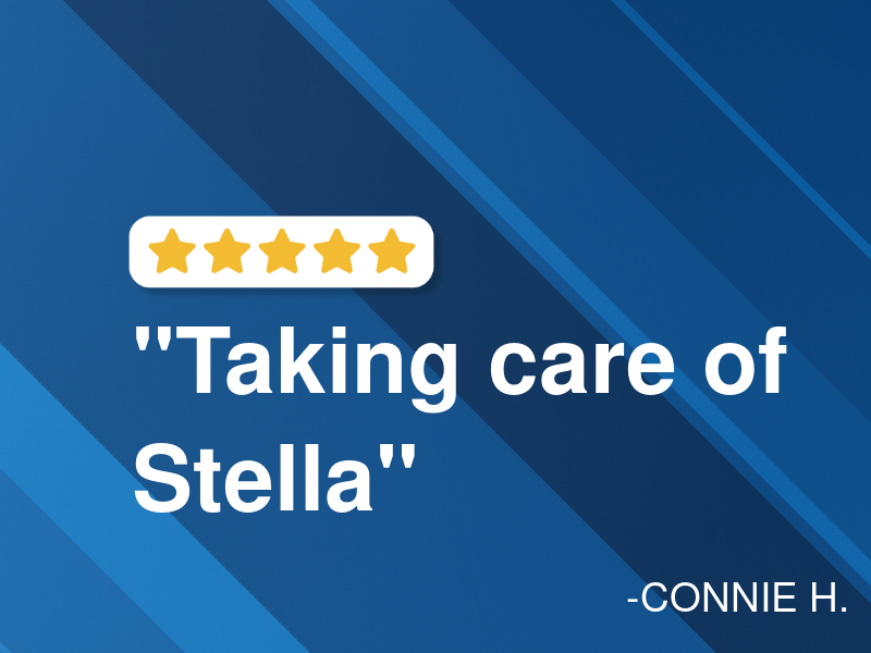 Tom and Jerry's Auto Service logo