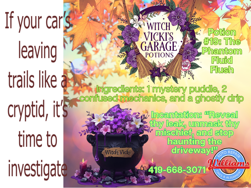 Williams Norwalk Tire & Alignment logo