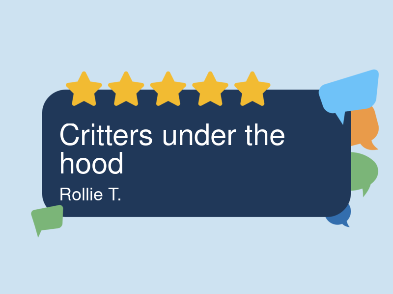 Breton's Automotive logo