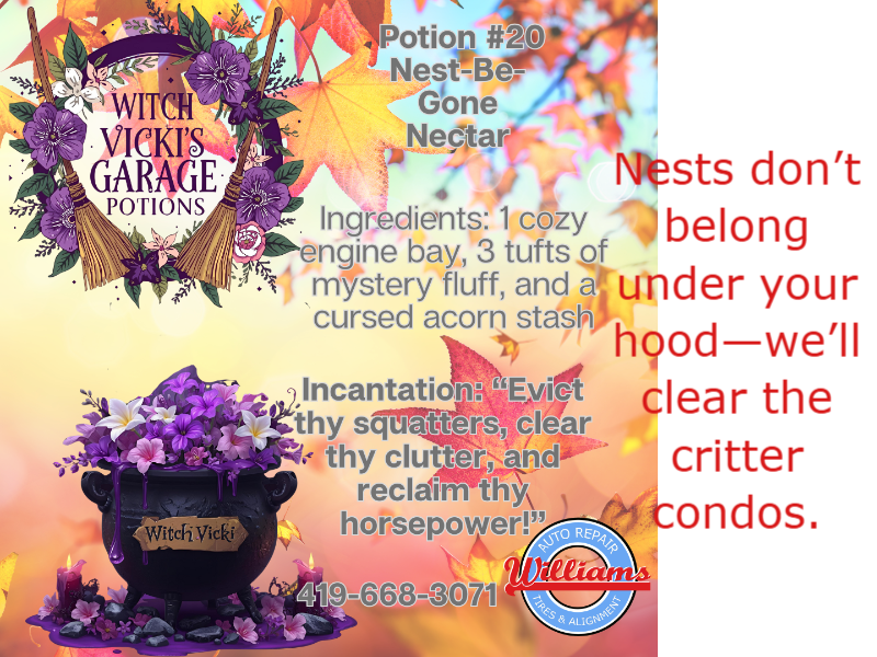 Williams Norwalk Tire & Alignment logo