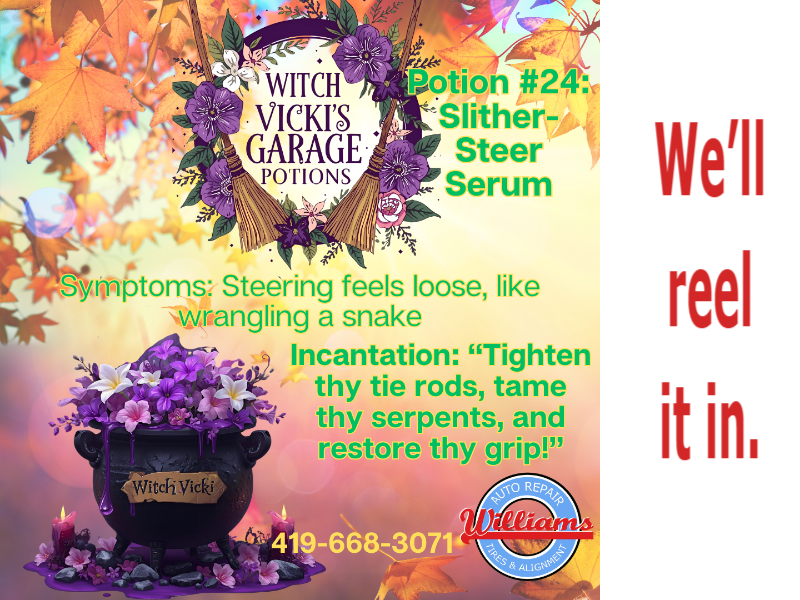 Williams Norwalk Tire & Alignment logo