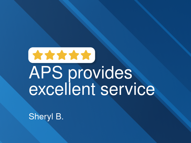 Auto Professional Service logo