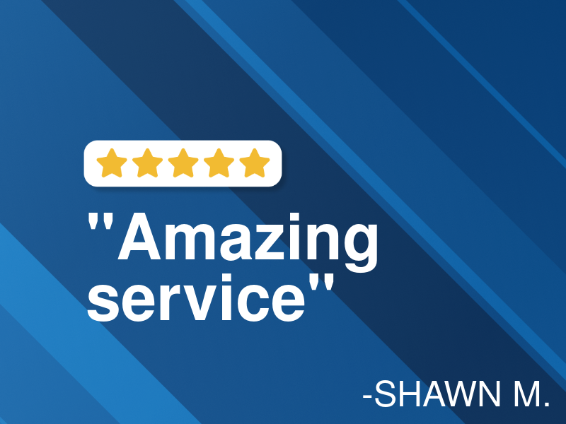 Delhi Quality Auto Care logo