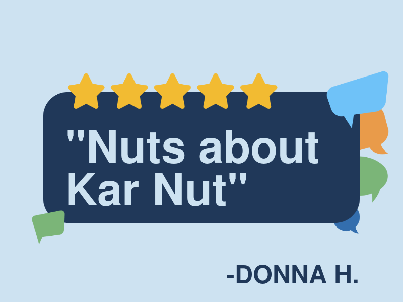 Kar Nut Auto Service LLC logo