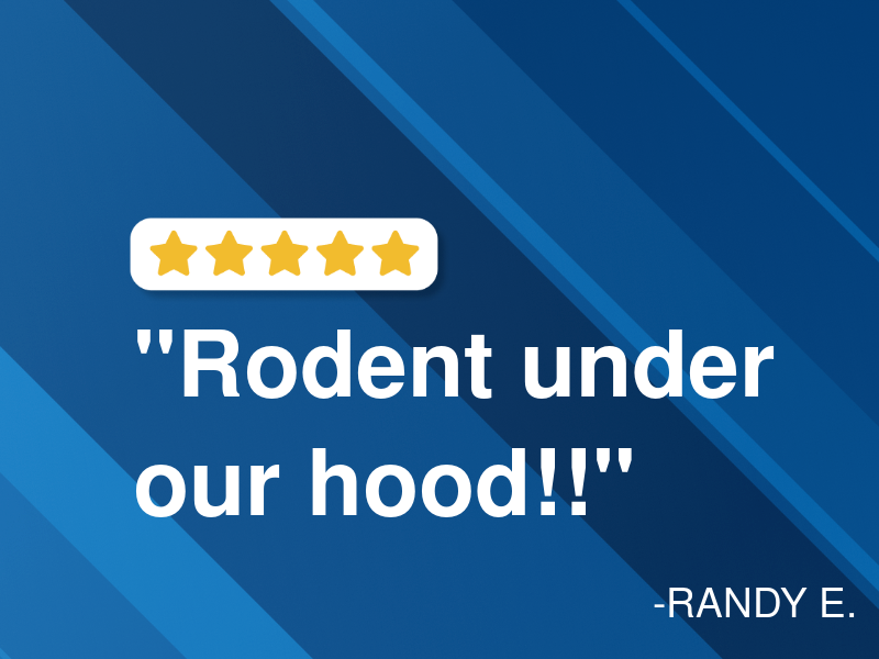 Middleton Motors logo