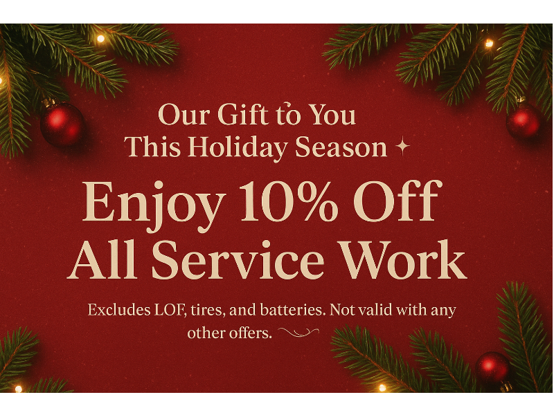 National Auto Service Center  logo