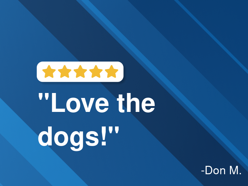 A & D Automotive logo