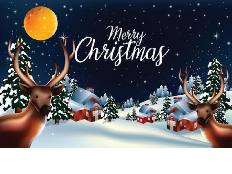 Last Stop Diesel logo