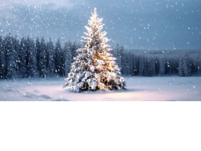 Olympos Auto Center logo