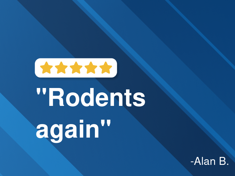 RAE an Automotive Service Co. Inc. logo