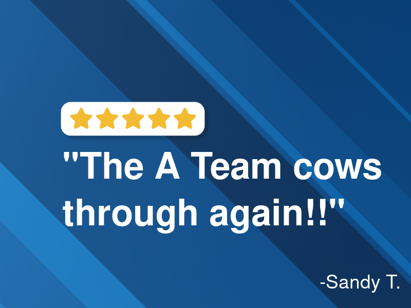 Autobahn Automotive logo