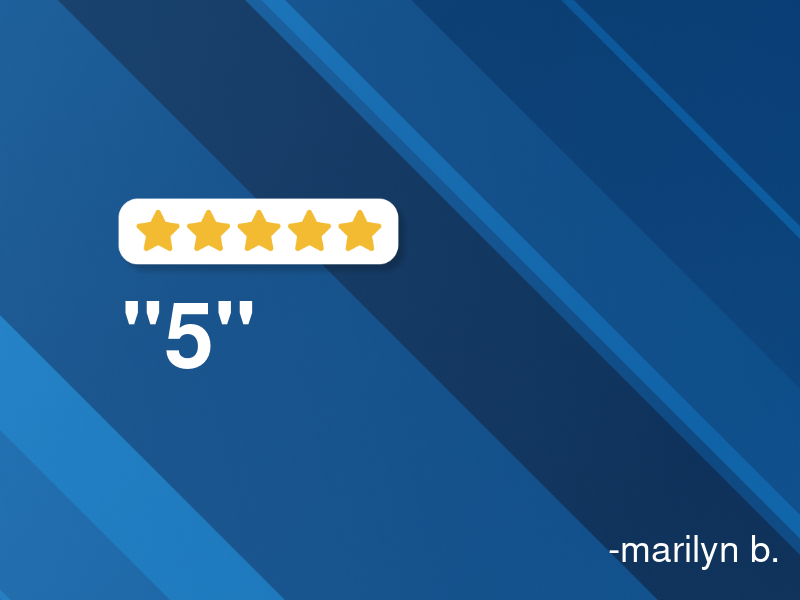 ACE Transmission Service logo