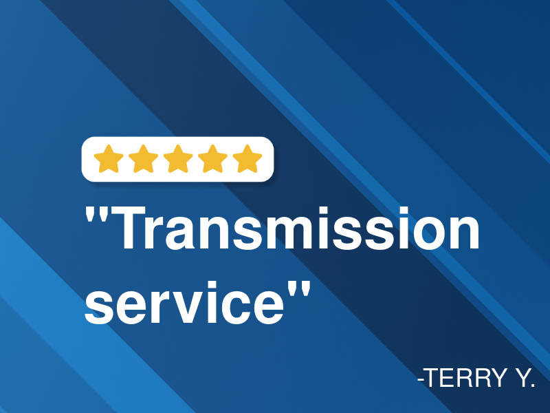 ACE Transmission Service logo