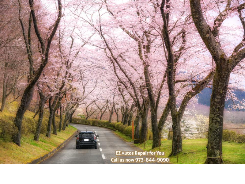 EZ Autos Repair logo