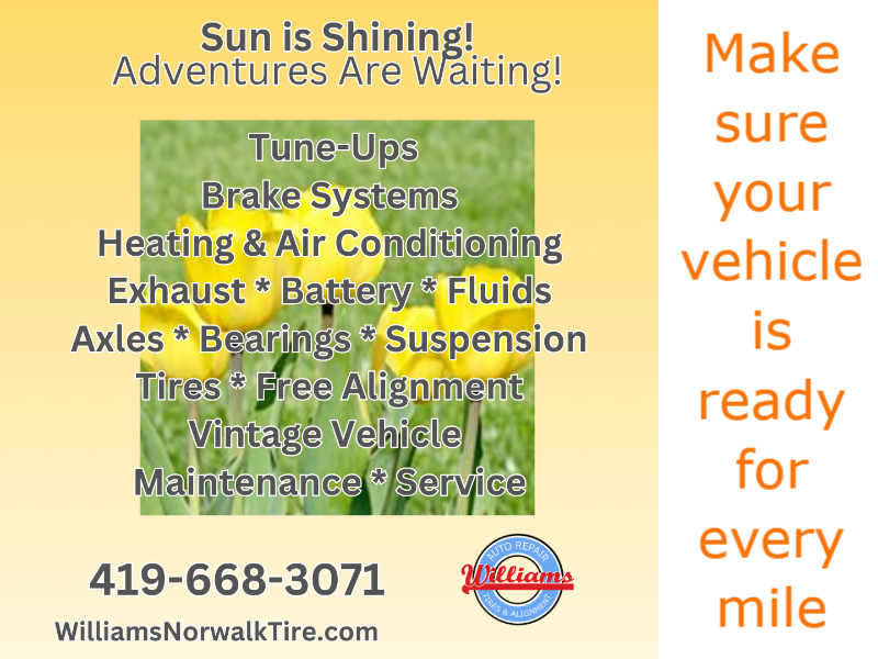 Williams Norwalk Tire & Alignment logo