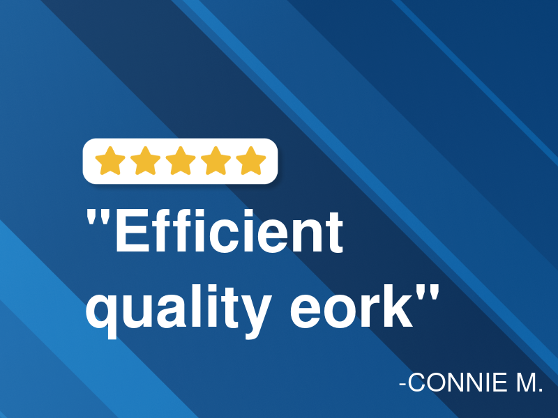 Delhi Quality Auto Care logo