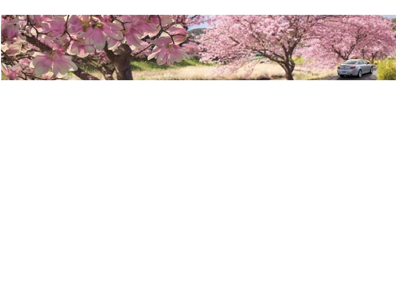 Jimmy D's Car Care Center logo