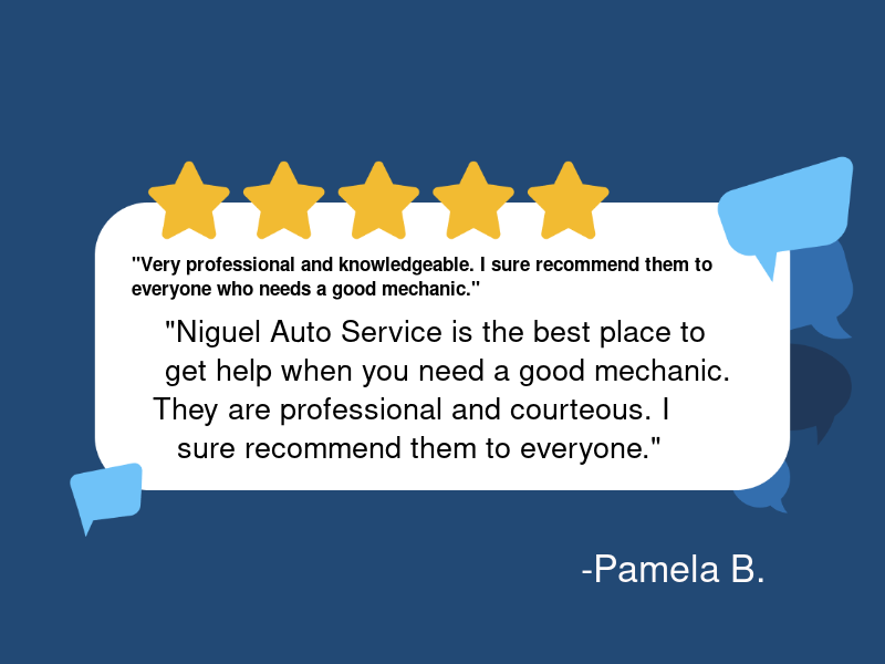 Niguel Auto Service logo