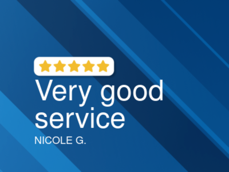 European Car and Domestic logo