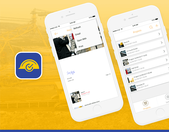 Easy Site Audit App
