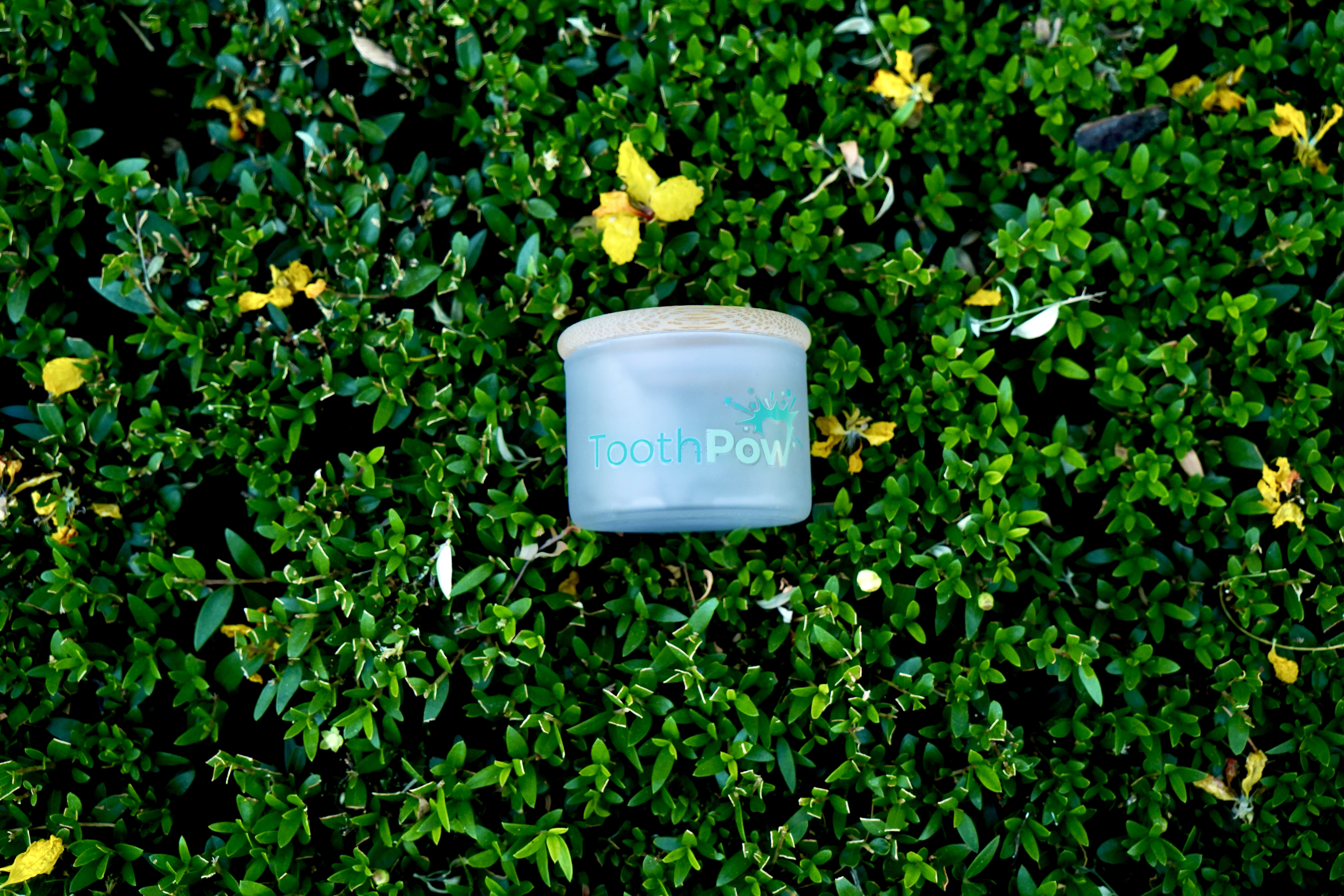xylitol natural toothpaste