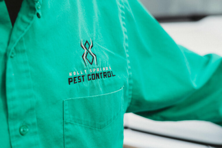 Wasp or Bee Pest Control by Holly Springs Pest Control in Holly Springs, NC