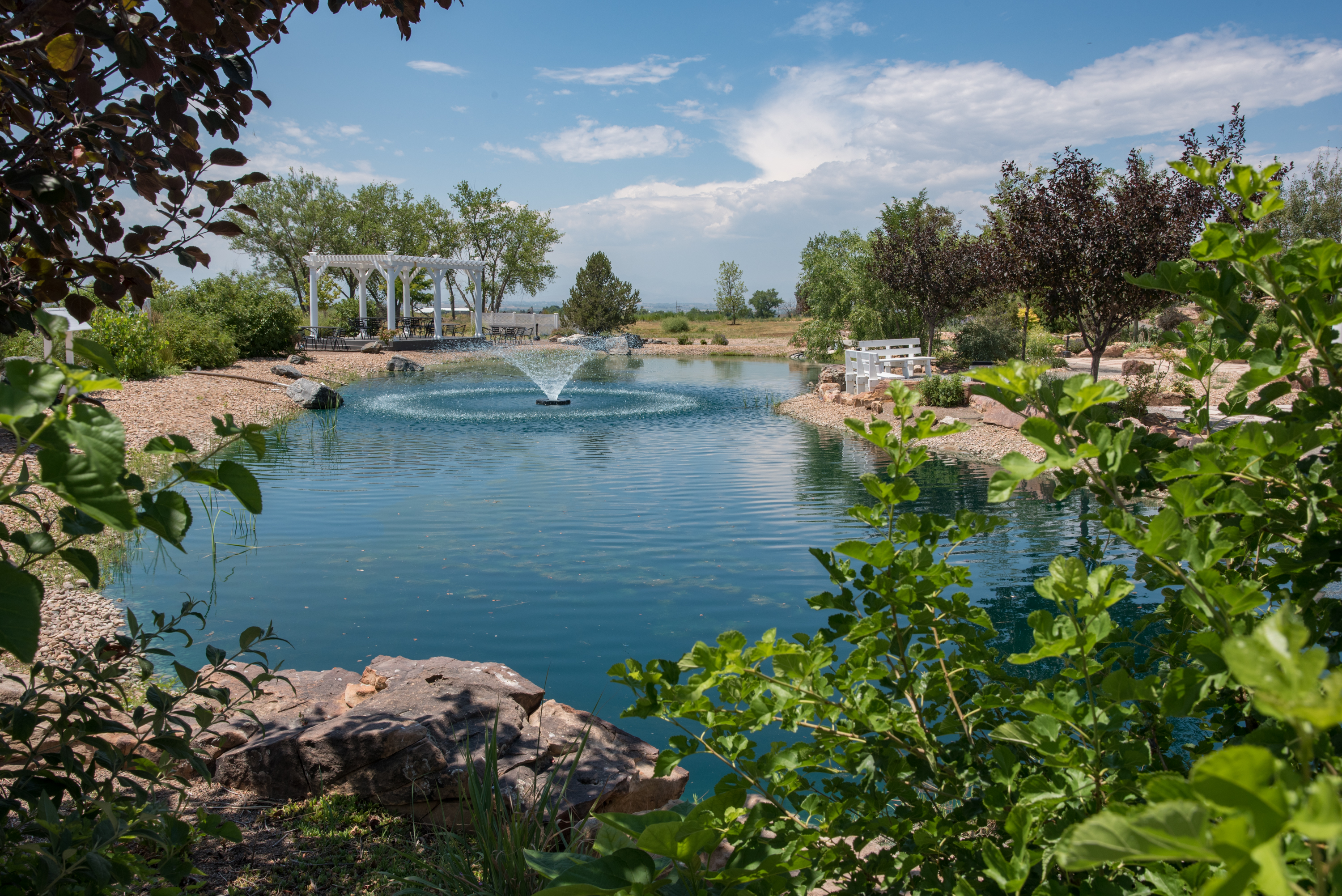 RUSTIC COUNTRY WEDDING VENUE NORTHERN COLORADO MEADOWS WEDDING VENUE AND EVENT CENTER 1 Meadows Event Center pond feature