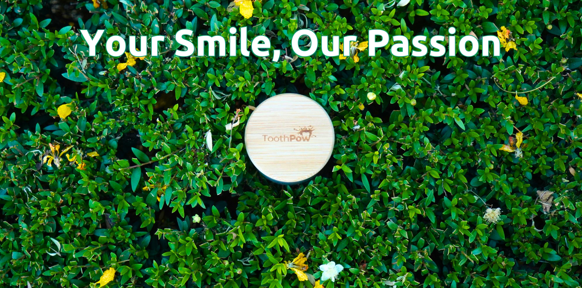 All natural toothpaste