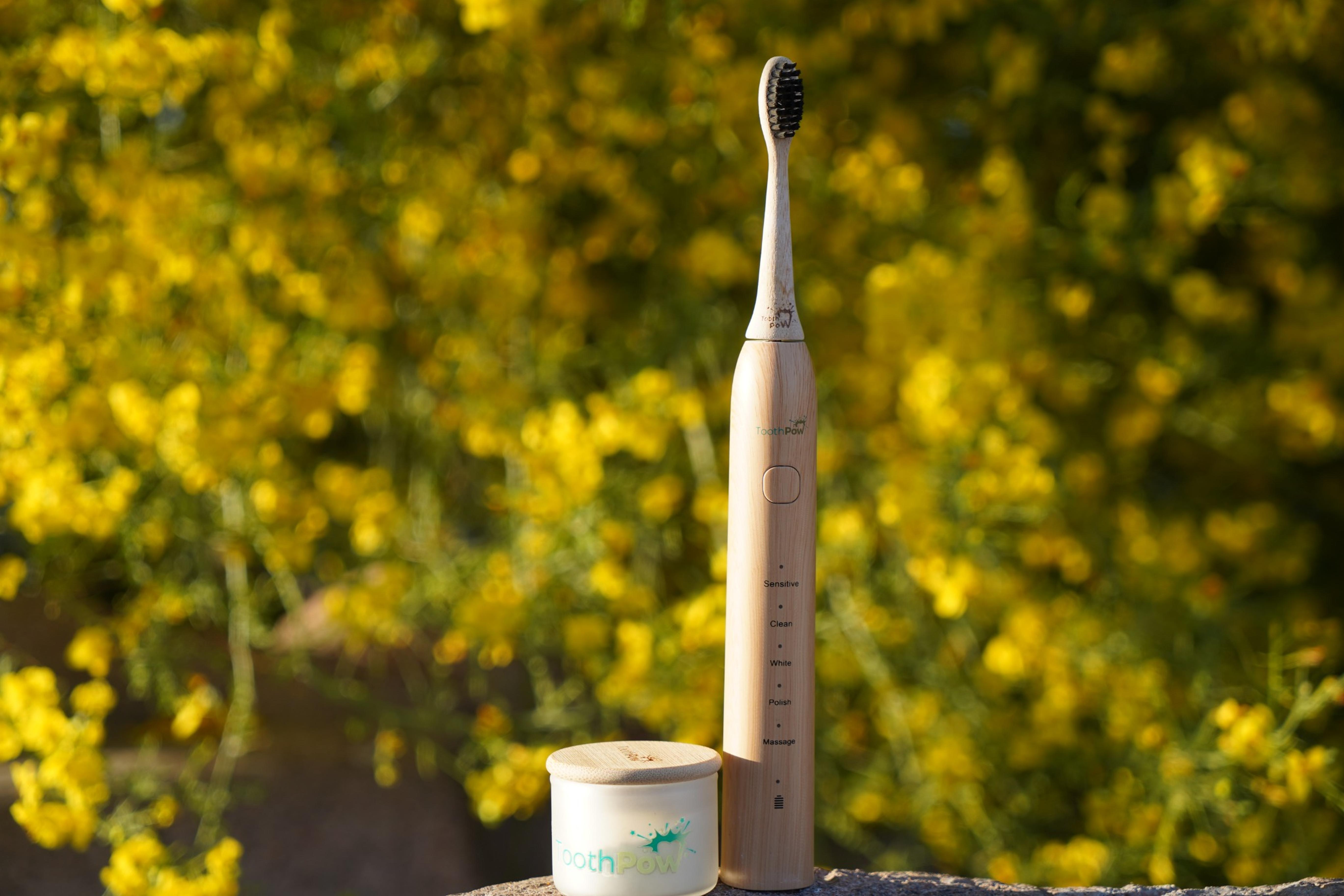 Toothpow sonic toothbrush