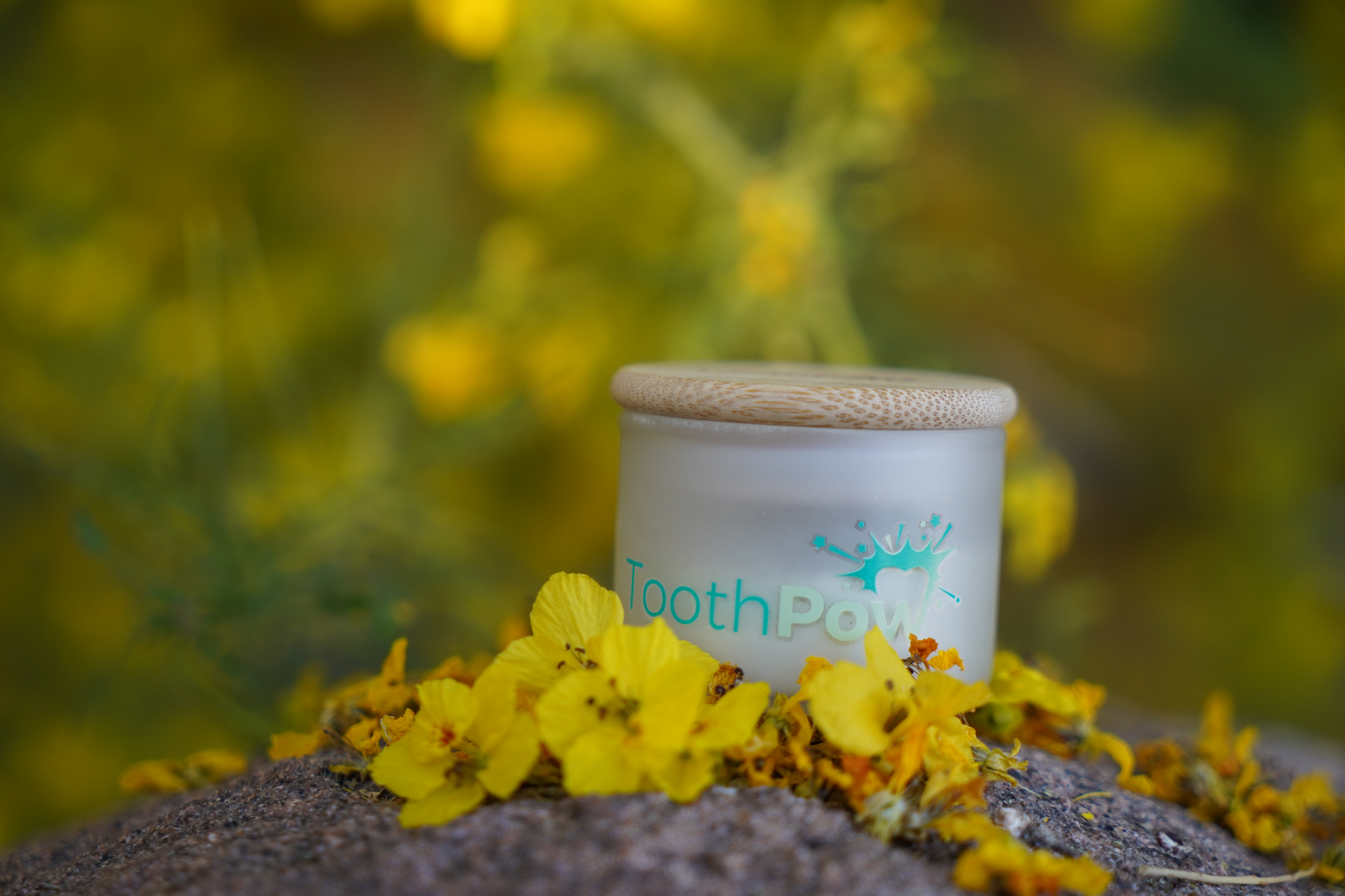 ToothPow Tooth Powder