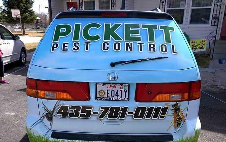 Why Timely Pest Control is Essential for Homeowners