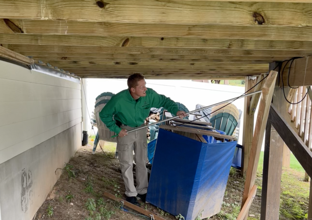 Emergency Pest Control: Why Immediate Action is Crucial