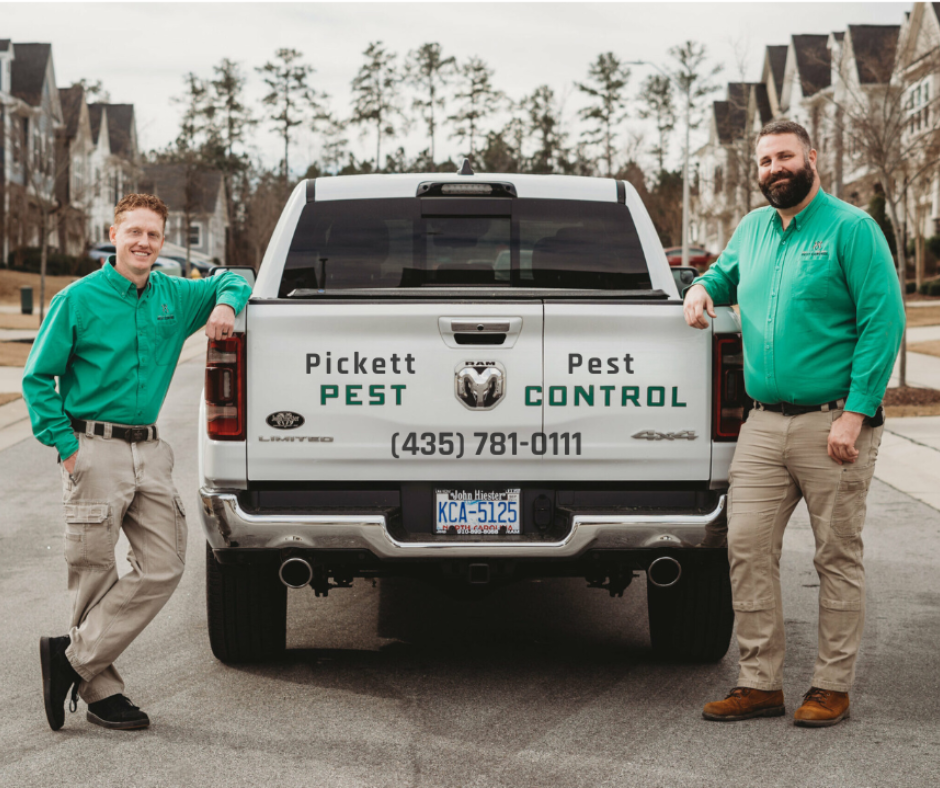 Prevent Property Damage with Immediate Action Pest Control