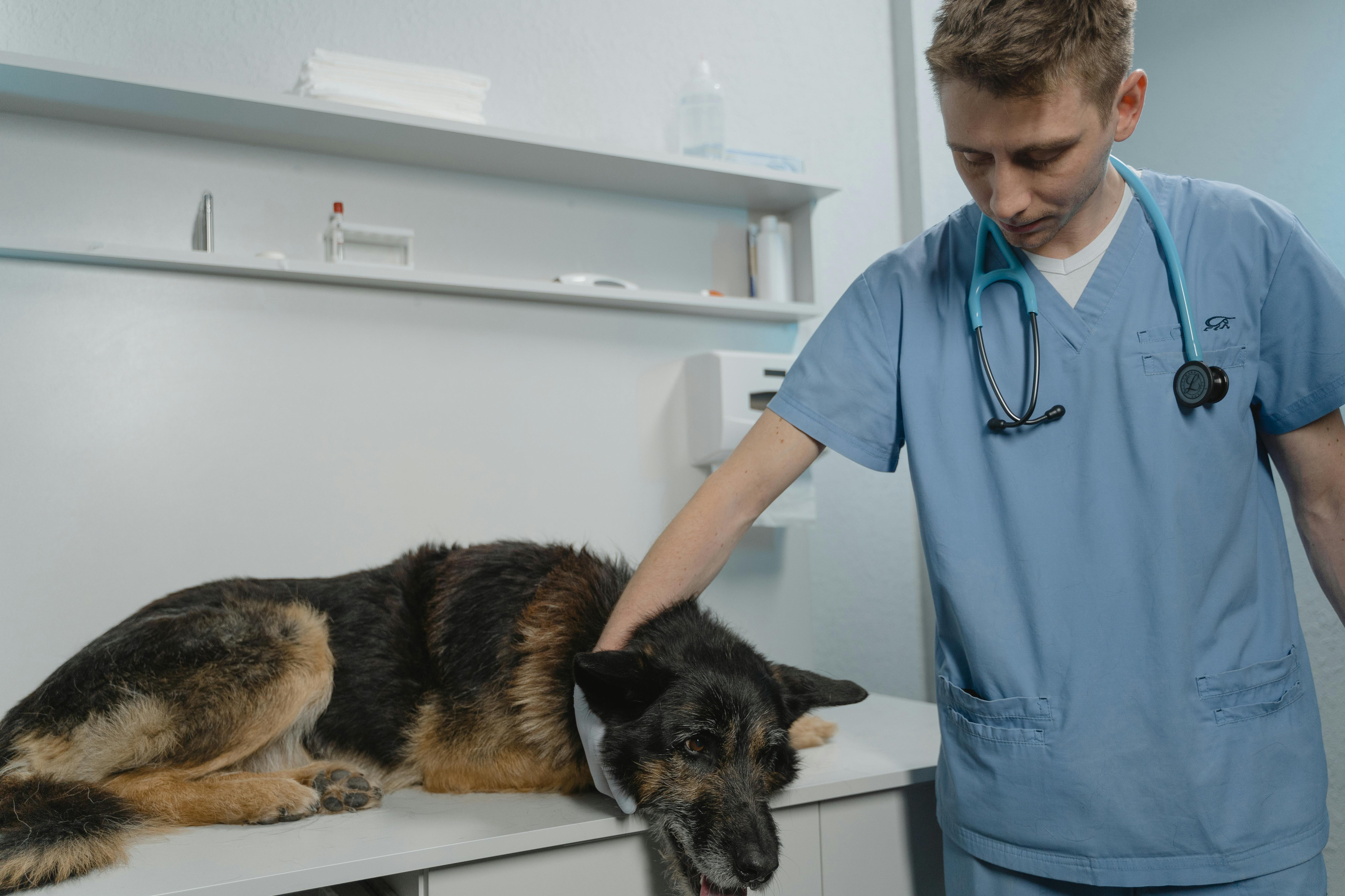 Dog owner talking with a veterinarian in a clinic, discussing treat safety.