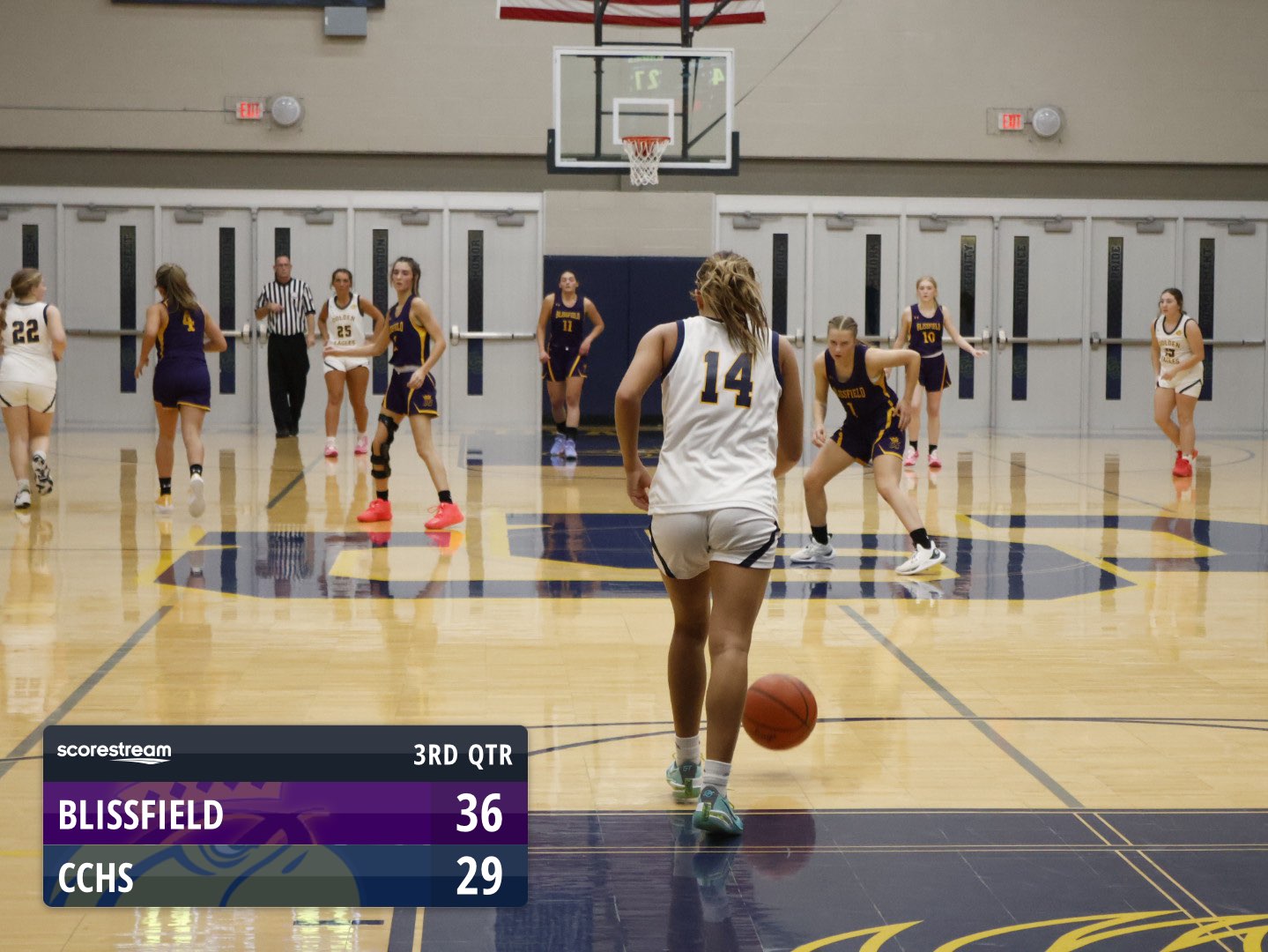 The Blissfield Royals defeat the Columbia Central Golden Eagles 57 to