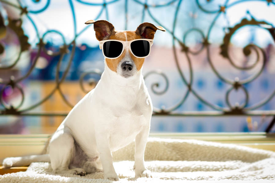 Stay-Cool-In-The-Summer