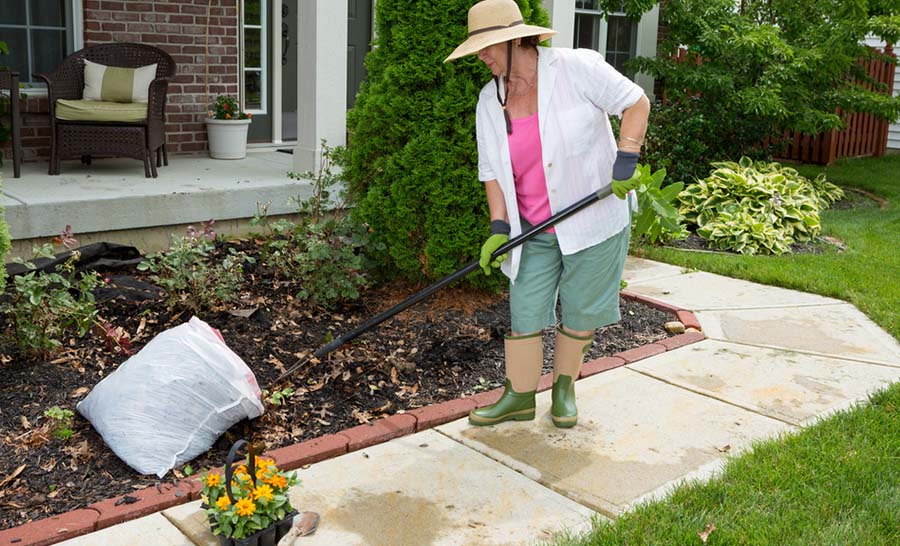 adding bark mulch