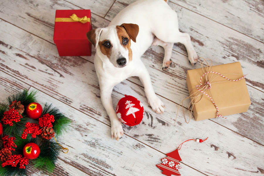 Holiday-Decorating-Safety-Tips
