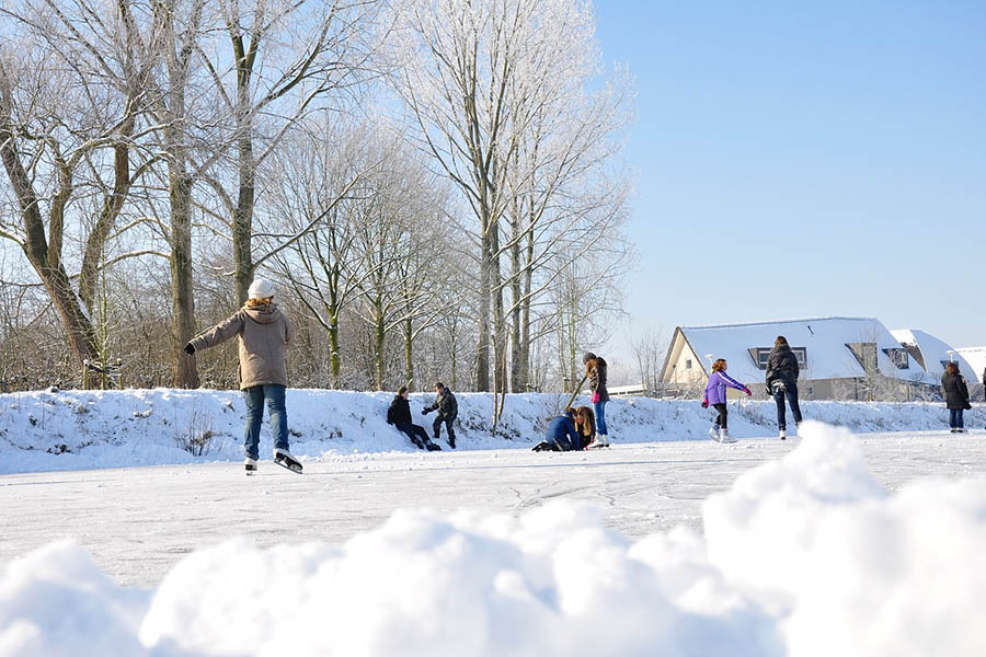 Winter Home Dangers