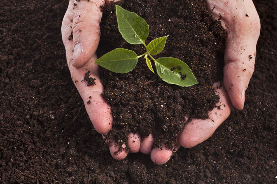 Guide to Backyard Composting