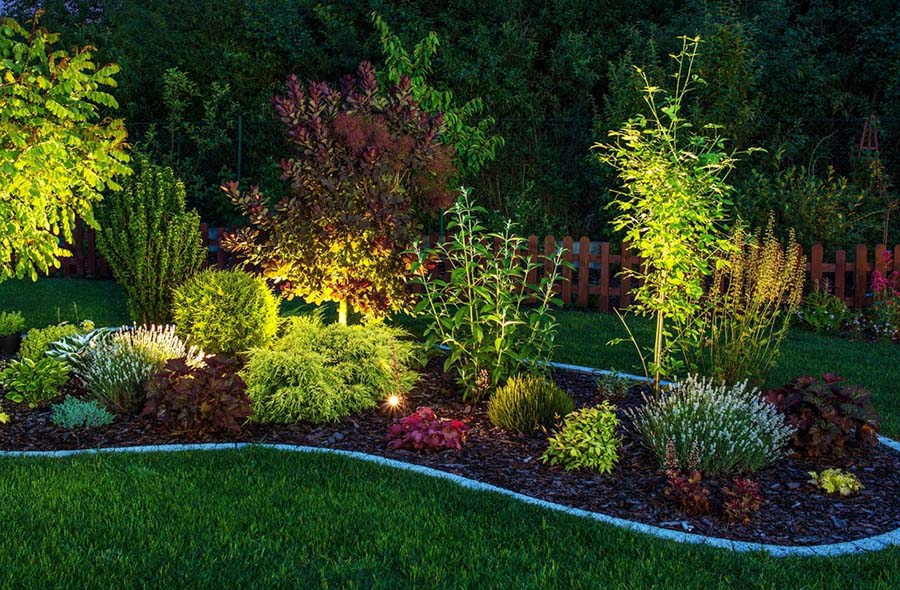 LED-landscaping-lighting