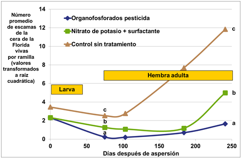 cítricos nitrato de potasio